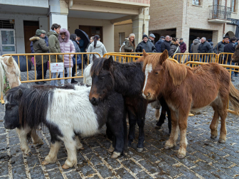 Fotos de las ferias de San Andrés de Estella.
