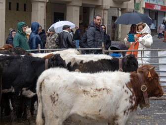 Fotos de las ferias de San Andrés de Estella.