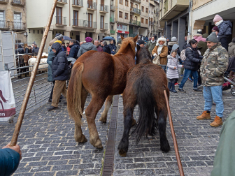 Fotos de las ferias de San Andrés de Estella.