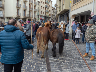 Fotos de las ferias de San Andrés de Estella.