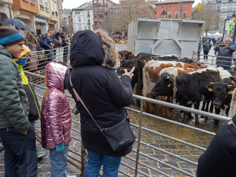 Fotos de las ferias de San Andrés de Estella.