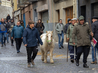 Fotos de las ferias de San Andrés de Estella.