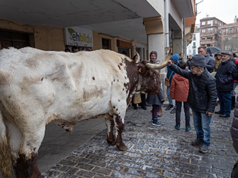 Fotos de las ferias de San Andrés de Estella.