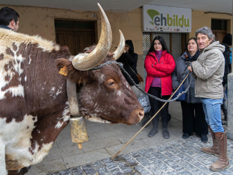 Fotos de las ferias de San Andrés de Estella.