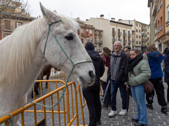 Fotos de las ferias de San Andrés de Estella.
