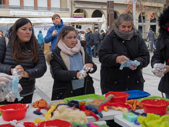 Fotos del domingo de ferias de San Andrés en Estella.