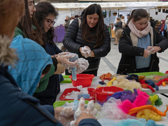 Fotos del domingo de ferias de San Andrés en Estella.
