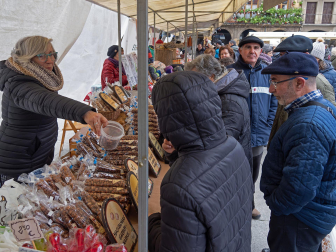 Fotos del domingo de ferias de San Andrés en Estella.