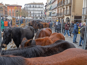 Fotos del domingo de ferias de San Andrés en Estella.