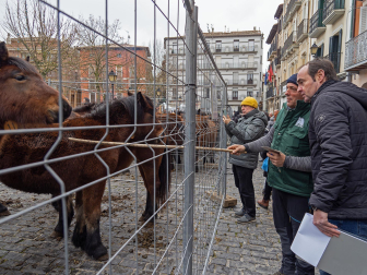Fotos del domingo de ferias de San Andrés en Estella.