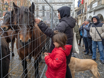 Fotos del domingo de ferias de San Andrés en Estella.