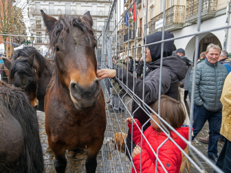Fotos del domingo de ferias de San Andrés en Estella.