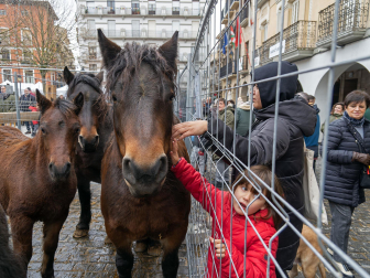 Fotos del domingo de ferias de San Andrés en Estella.