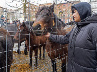 Fotos del domingo de ferias de San Andrés en Estella.