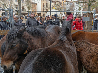Fotos del domingo de ferias de San Andrés en Estella.