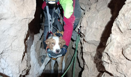 El perro 'Messi', atrapado en las galerías de la sima