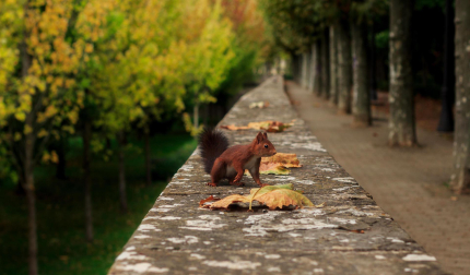 Imágenes del concurso fotográfico Enfoca 2022