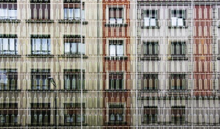 Imágenes del concurso fotográfico Enfoca 2022