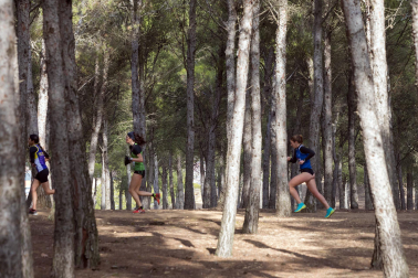 Campeonato Navarro de Cross Individual 2023./