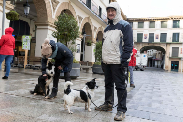 Tradicional celebración de San Antón con recogida de certificados por parte de las mascotas de Tudela.