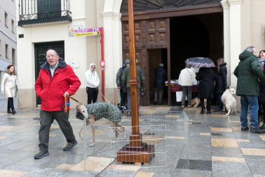 Tradicional celebración de San Antón con recogida de certificados por parte de las mascotas de Tudela.