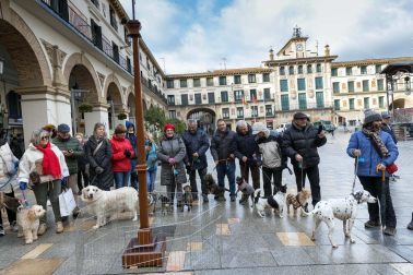 Tradicional celebración de San Antón con recogida de certificados por parte de las mascotas de Tudela.