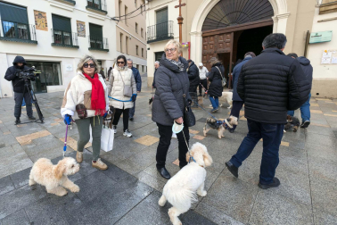Tradicional celebración de San Antón con recogida de certificados por parte de las mascotas de Tudela.