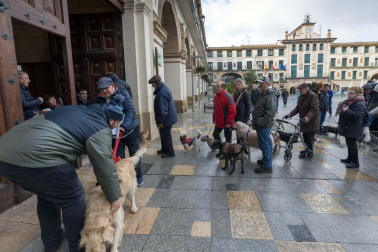 Tradicional celebración de San Antón con recogida de certificados por parte de las mascotas de Tudela.
