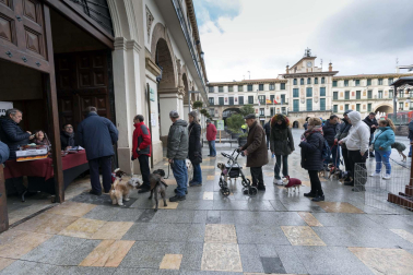 Tradicional celebración de San Antón con recogida de certificados por parte de las mascotas de Tudela.