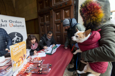 Tradicional celebración de San Antón con recogida de certificados por parte de las mascotas de Tudela.