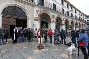 Tradicional celebración de San Antón con recogida de certificados por parte de las mascotas de Tudela.