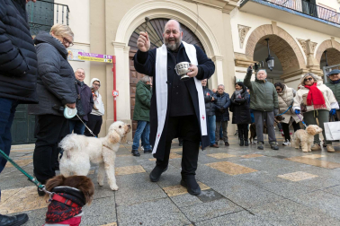 Tradicional celebración de San Antón con recogida de certificados por parte de las mascotas de Tudela.