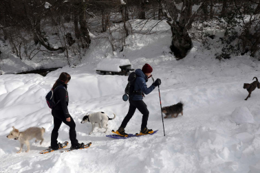 Fotos del ambiente en la nieve en Roncesvalles.