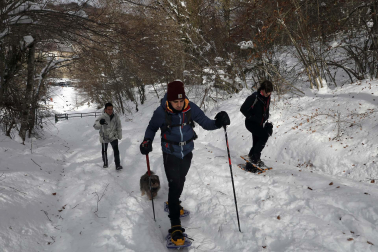 Fotos del ambiente en la nieve en Roncesvalles.
