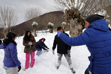 Fotos del ambiente en la nieve en Roncesvalles.