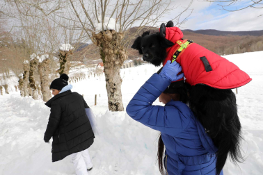 Fotos del ambiente en la nieve en Roncesvalles.
