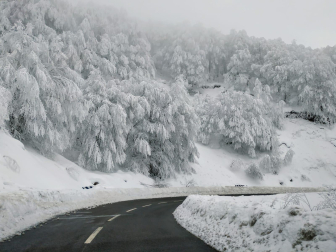 Puerto de Ibañeta nevado.