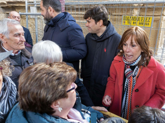 Imágenes de la festividad de San Felices en Viana