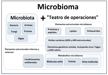 El término microbioma contiene tanto la microbiota (comunidad de microorganismos) como su teatro de actividad (elementos estructurales, metabolitos, moléculas señal y las condiciones ambientales del entorno). Modificado a partir de Berg et al. (2020).