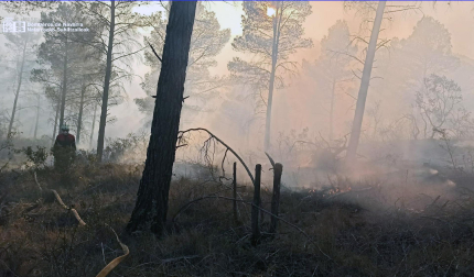 Un efectivo de bomberos trabaja para extinguir el incendio declarado este miércoles en Cáseda