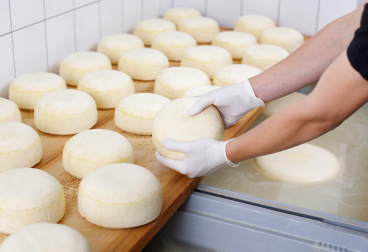 Los quesos duros o semiduros, principalmente de leche cruda y de oveja o cabra suelen contener mayor cantidad de histamina acumulada