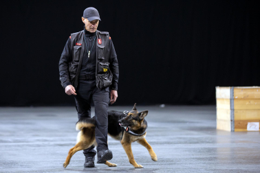 Jornada de puertas abiertas de la Policía foral en el Navarra Arena./