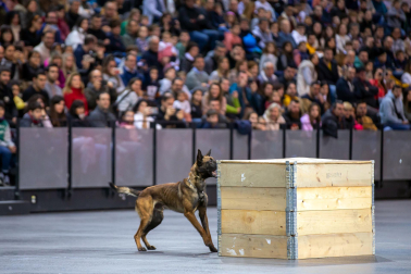 Jornada de puertas abiertas de la Policía foral en el Navarra Arena./
