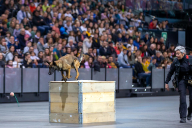 Jornada de puertas abiertas de la Policía foral en el Navarra Arena./