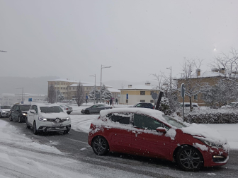 Fotos de la nevada de este lunes en Tierra Estella. /