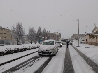 Fotos de la nevada de este lunes en Tierra Estella. /