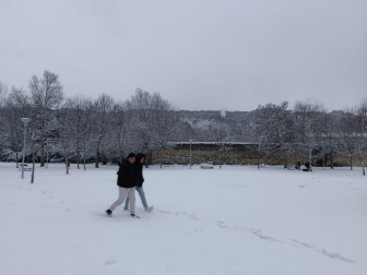 Fotos de la nevada en el parque Los Llanos de Estella. /