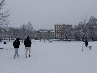 Fotos de la nevada en el parque Los Llanos de Estella. /