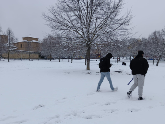 Fotos de la nevada en el parque Los Llanos de Estella. /
