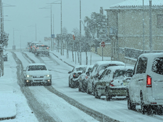 Fotos de la nevada de este lunes en Tierra Estella. /
